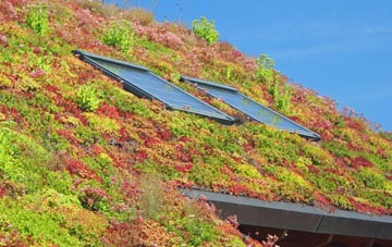Yetts O Muckhart living roof systems