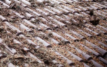 Yetts O Muckhart roof cleaning companies